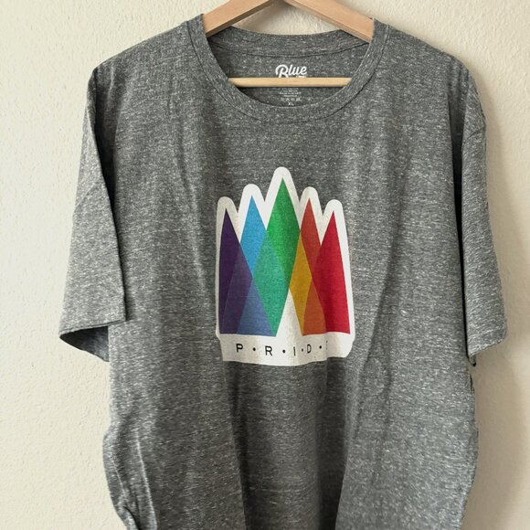 Blue 84 Other - Heather Gray Pride T-Shirt